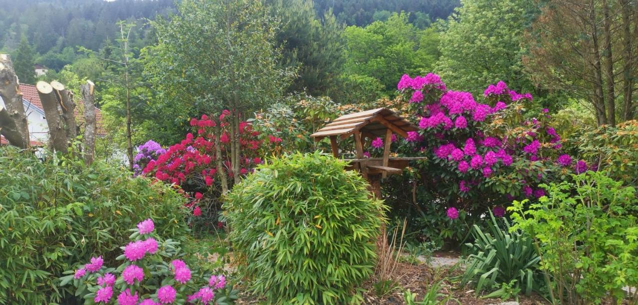 Gites Les Grandes Voies - Cle Vacances Le Ménil Exteriér fotografie